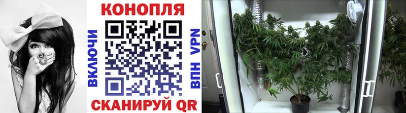 МАРИХУАНА индика  Сураж 
